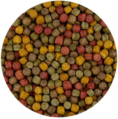 BluFeed - Visvoer Vijver - Multi Mix 6mm - 2kg