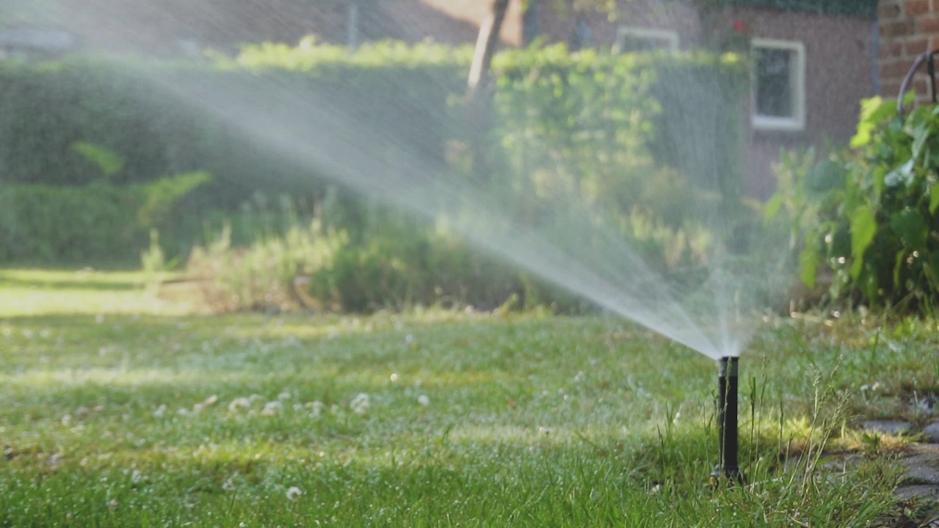 Ladda video: Pop up sprinkler video garden sprinklers gazon lawn